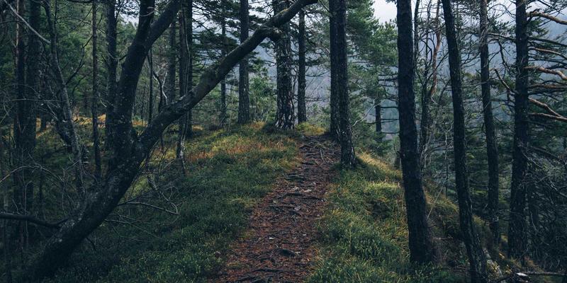 三代同堂的潮流新解：如何打造兼顾美学、功能与代际和谐的包容性家居