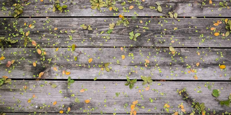 从消费到共创：时尚生活者如何通过线下沙龙构建高价值社交圈