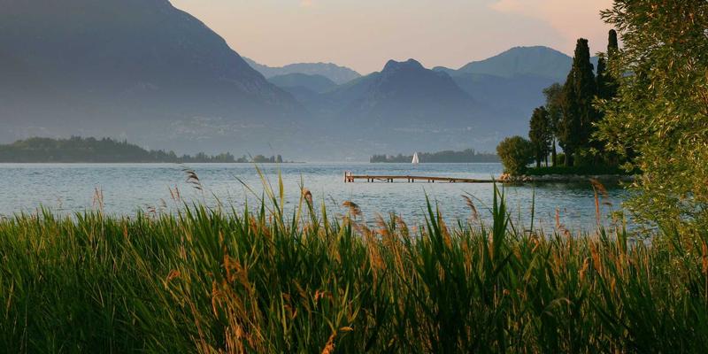 从超级食物到仪式感餐桌：解码时尚生活的健康饮食新美学