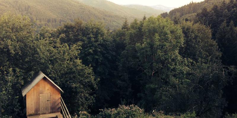 当代码遇见剪裁：3D打印与智能穿戴如何重塑我们的时尚生活