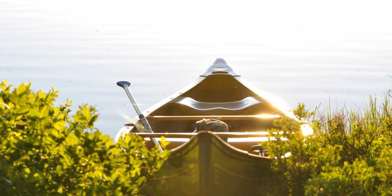 超越精致晚餐:用策展思维打造一场引爆社交圈的主题家宴